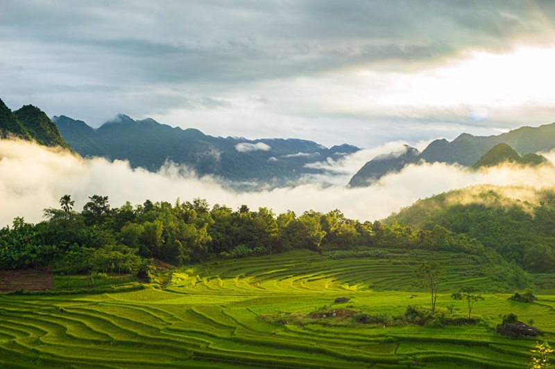 Thanh Hóa mang đặc trưng của khí hậu nhiệt đới gió mùa